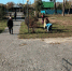 Субботник. - Притобольный муниципальный округ