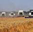 dsc_0241_kopiya - Газета Чановские вести