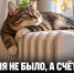 «Отопления не было, а счёт пришёл»: почему жителям дома на Коммуны начислили тепло за весь октябрь - Газета Задонская правда
