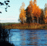 Осень в городах Приволжья – время, когда привычки меняются - Нижегородская правда