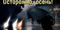 Госавтоинспекция обращается к водителям и пешим участникам дорожного движения. - Администрация г. Новоалтайск