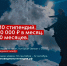 Новгородские студенты могут получить стипендию за проекты по охране природы - Новгородское областное телевидение