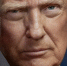 Баку и Ереван номинировали Дональда Трампа на Нобелевскую премию мира - Metro Петербург