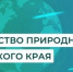 Министерство природных ресурсов Хабаровского края информирует о реорганизации структуры управления - Министерство природных ресурсов