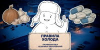 Что поможет не заболеть в сезон ОРВИ, выяснили ведущие проекта «Правила холода» - Северный город