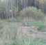 В Пижемском лесничестве с помощью средств фотофиксации выявлен факт незаконного размещения отходов на землях лесного фонда - Министерство лесного хозяйства