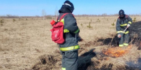 «Жёлтый уровень опасности в Ульяновской области», «4 класс пожарной опасности в лесах Ульяновской области». - Ulyanovsk.Express