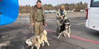 Источник: Кристина Полевая / 29.RU - 29.Ru