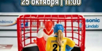 В Ижевске пройдёт женский командный чемпионат по настольному хоккею - Сусанин