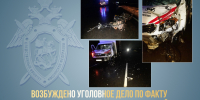 Следственными органами СК России по Алтайскому краю возбуждено уголовное дело по факту гибели двух подростков в Зональном районе - Следственный комитет