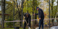 Порядка 130 новых деревьев высаживают в Кремлёвском саду в Вологде - Вологда.РФ