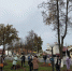 Сегодня прошли субботники по всему городу - Pesochnya40.Com