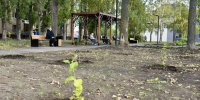 В сквере «Молодёжный» ведутся работы по высадке новых зелёных насаждений - Балаковские вести