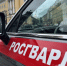В Петербурге росгвардейцы задержали хозяйку квартиры с наркотиками и двух ворвавшихся к ней мужчин - Spbdnevnik.ru