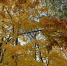 article23496.jpg - 59i.Ru