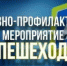 Оперативно-профилактическое мероприятие "Пешеход" - Заветинский район