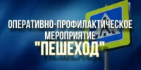 Оперативно-профилактическое мероприятие "Пешеход" - Заветинский район