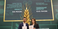 Картинка - Regions.Ru