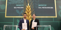 Картинка - Regions.Ru