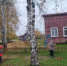 Субботник в Кневицком функциональном отделе!. - Демянский район