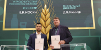 В Волоколамске увеличат переработку молока в четыре раза - MosRegToday.Ru