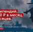 Студенческий проект для заповедников: стартовал конкурс на стипендию Президентского фонда природы - Комитет экологического надзора
