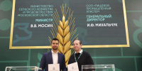 Картинка - Regions.Ru