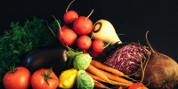 Эксперт Тарасова объяснила, как есть осенние продукты без вреда пищеварению - Петербургский дневник