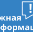 Эксперты напоминают о правилах защиты от бешенства - Vbgcity.Ru