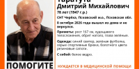 Изображение из группы поискового отряда «ЛизаАлерт» в соцсети «ВКонтакте» - InformPskov.Ru