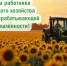 Поздравляем с Днём работника сельского хозяйства и перерабатывающей промышленности - Торгово-промышленная палата