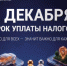 1 декабря - срок уплаты налогов. - Город Новодвинск