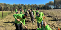 высадка дубовой аллеи в Смоленском Поозерье, фото Сбера - О чём Говорит Смоленск