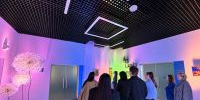 В волгоградском амфитеатре открылась выставка «Фауна подсознания» - Город Волгоград