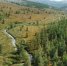 Фото КНЦ УРО РАН - Syktyvkar.1istochnik.Ru