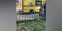 В Воронеже на улице Любы Шевцовой Ford сбил ребенка - РИА Воронеж