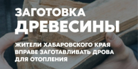 Заготовка древесины в Хабаровском крае: нормативы, льготы и порядок оформления - Нанайский район