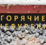 В саранском кафе пойман матерщинник! - Столица С