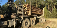 Из Мордовии в зону СВО отправили лес-кругляк - Info-Rm.Com