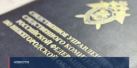 В Нижнем Новгороде местная жительница признана виновной в покушении на убийство знакомого - СУ СК РФ