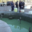 В Белгороде начали консервировать фонтаны на зиму - Мир Белогорья