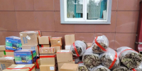 Елена Потапенкова и смоляне: вместе – ради поддержки бойцов СВО - Смоленская газета