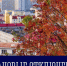 Плановые отключения - Murman.Ru