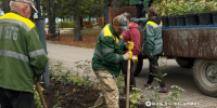 Коммунальные службы Белгорода продолжают подготовку к осенне-зимнему сезону - Belnovosti.Ru