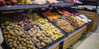 Картофель стал самым подешевевшим продуктом в России в сентябре - M24.Ru