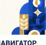 На Ставрополье запустили единый навигатор транспортных услуг - Вечерний Ставрополь