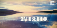 Заповедник: Птицы ботанического сада - Телекомпания ТВ-21
