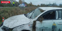 ДТП в Бежаницком районе - InformPskov.Ru