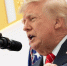 Трамп сообщил о разговоре с Путиным - M24.Ru