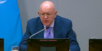 Небензя: НАТО поставляет Киеву оружие для ударов по России - Spbdnevnik.ru